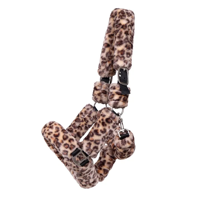 QHP Special Edition Alaska Headcollar - Panther